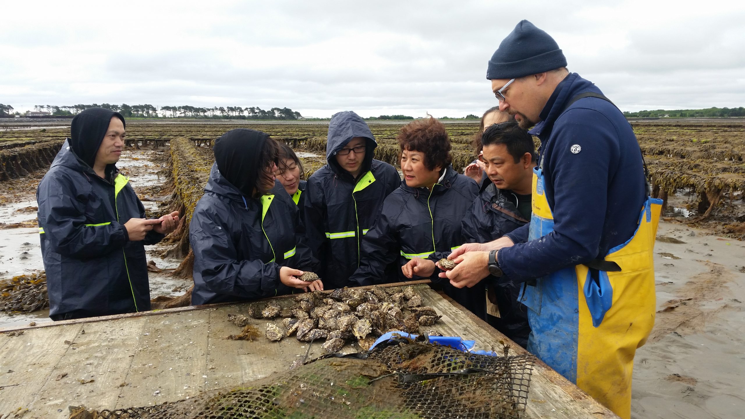 Selling Seafood to China